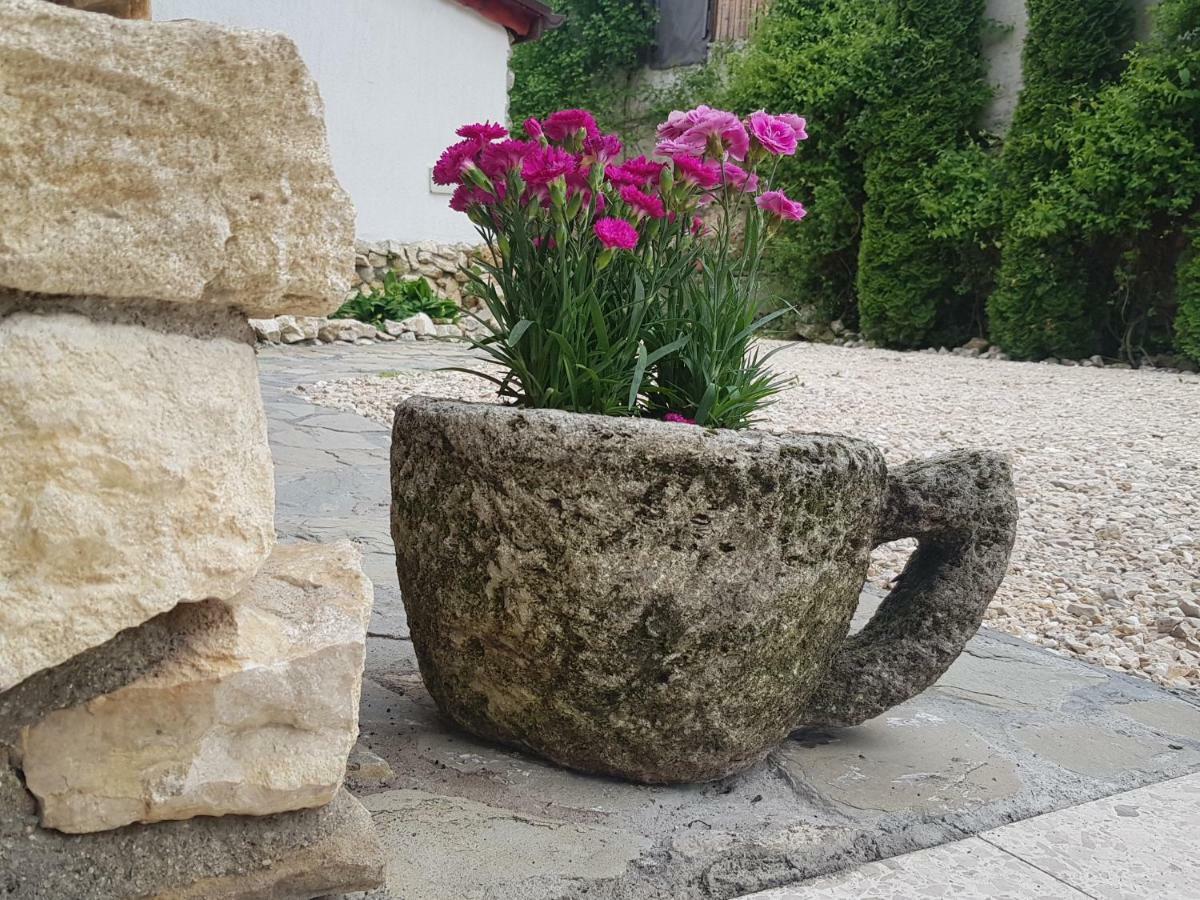 Casa Bergwald Appartement Rîşnov Buitenkant foto